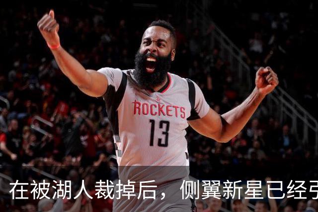 在被湖人裁掉后，侧翼新星已经引起了国王、森林狼和猛龙的关注？