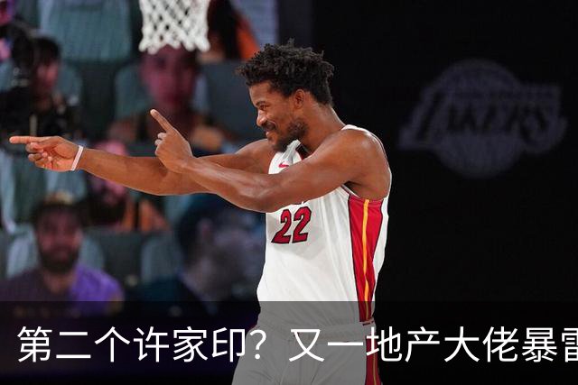 第二个许家印？又一地产大佬暴雷，涉案超200亿，现已被立案调查
